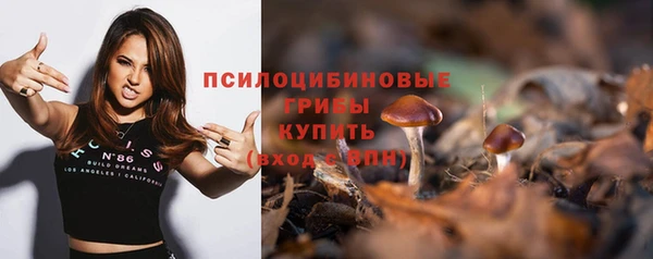 СК Белокуриха