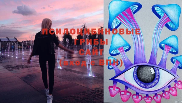 ГАЛЛЮЦИНОГЕННЫЕ ГРИБЫ Белоозёрский